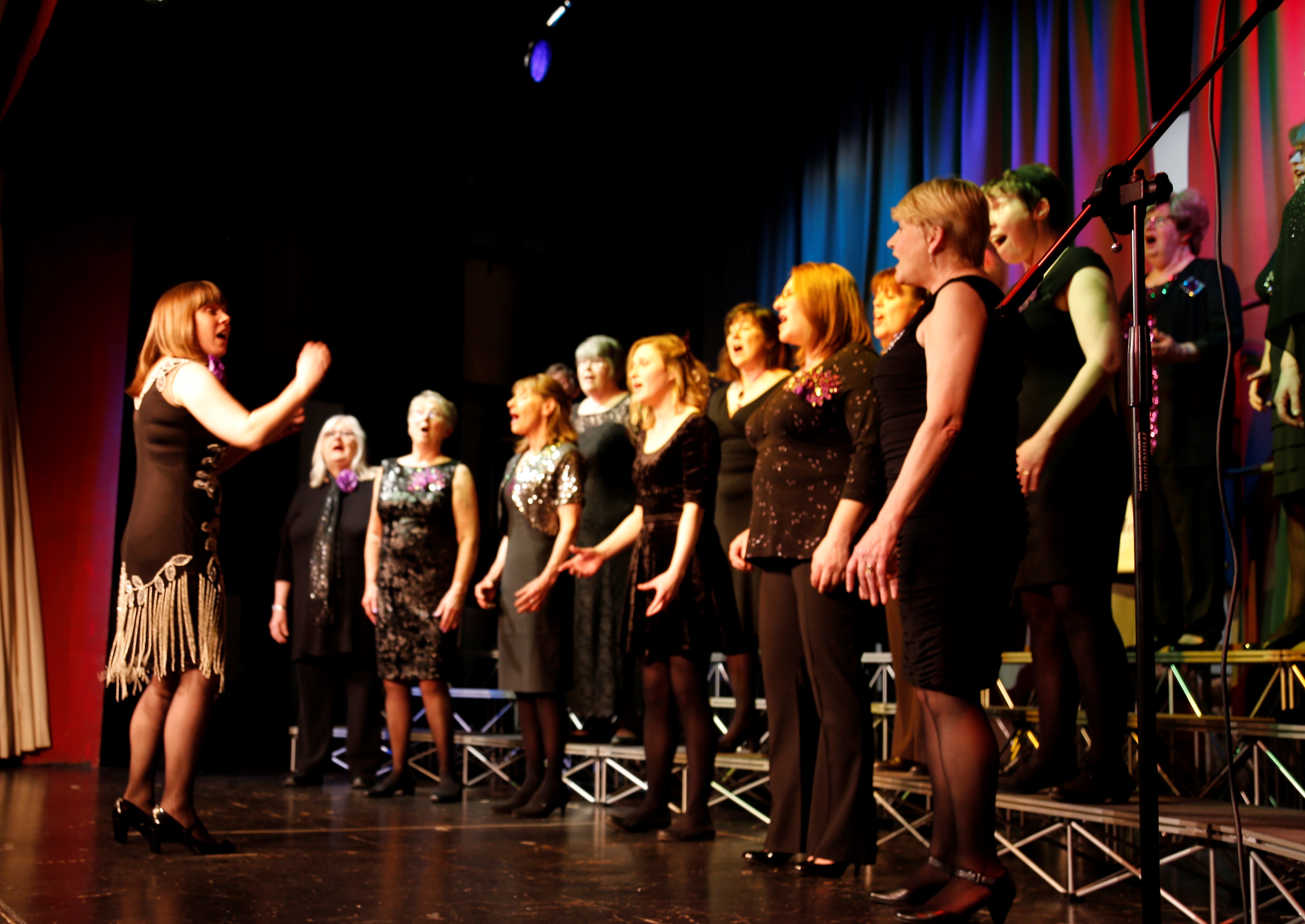 Avon Harmony A Cappella Choir sing at your events.